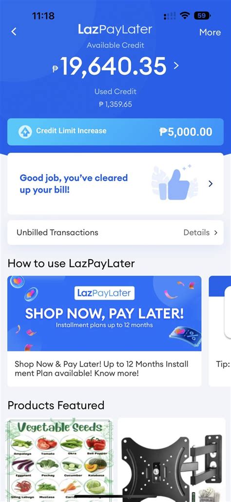 lazpaylater frozen|Lazpaylater Account Restricted : r/PHCreditCards .